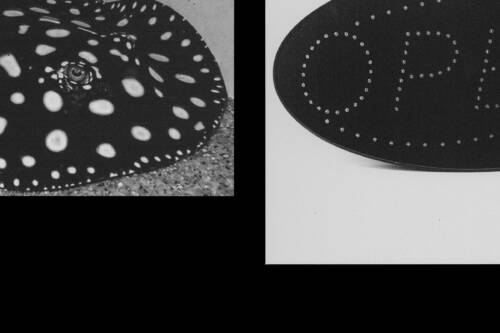 Edition Ventile IMG GEN Duo 5 Zoom